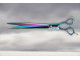 Razorline 10 3/4 Inch Rainbow Titanium Scissors