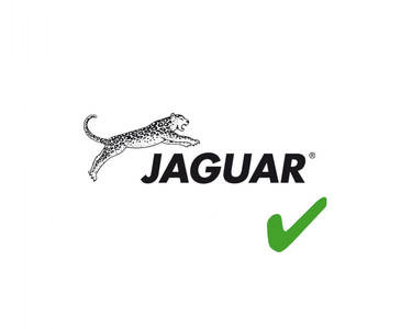 Jaguar Pre Style Ergo P 6" scissor.