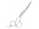 K5 ELEGANT SILVER 5.5" SCISSORS