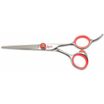 Scissor