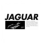 Jaguar Diamond E left 5.75