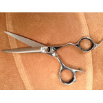 Sharpline "SL" RA55 5.5" scissor.
