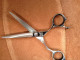 Sharpline "SL" RA55 5.5" scissor.