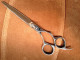 Sharpline "SL" VA60 6" scissor.