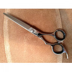 Sharpline "SL" VA55 5.5" scissor.