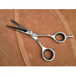 Sharplines 5.5" First Star scissor.