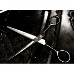 KAMISORI Koto 6" Professional Hair cutting Shears